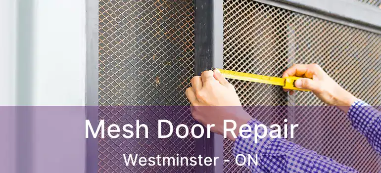  Mesh Door Repair Westminster - ON