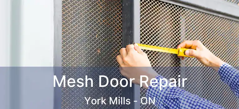  Mesh Door Repair York Mills - ON
