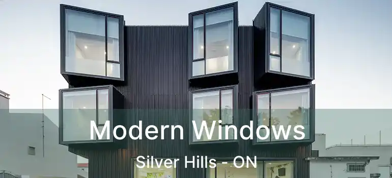  Modern Windows Silver Hills - ON
