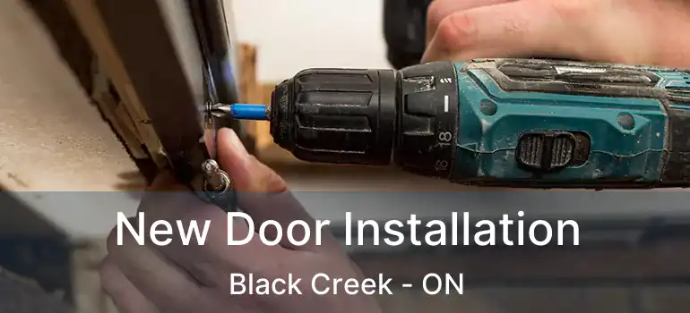  New Door Installation Black Creek - ON