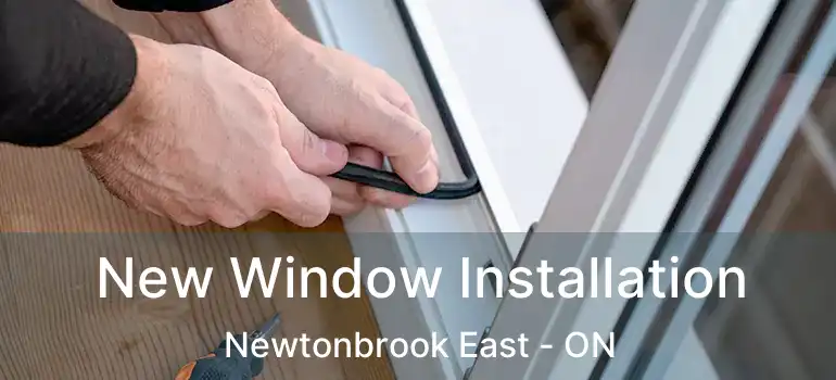  New Window Installation Newtonbrook East - ON