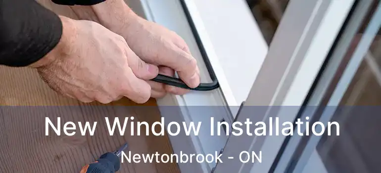  New Window Installation Newtonbrook - ON