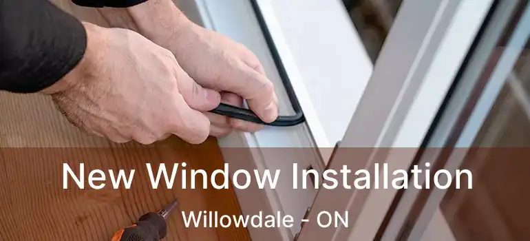  New Window Installation Willowdale - ON