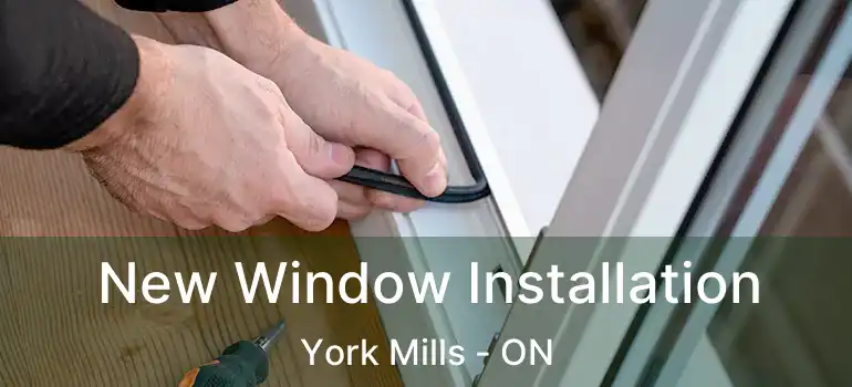  New Window Installation York Mills - ON
