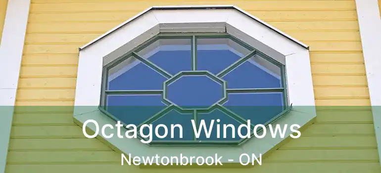  Octagon Windows Newtonbrook - ON