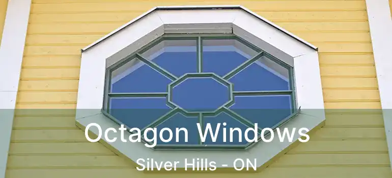  Octagon Windows Silver Hills - ON