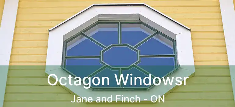  Octagon Windowsr Jane and Finch - ON