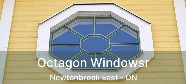  Octagon Windowsr Newtonbrook East - ON