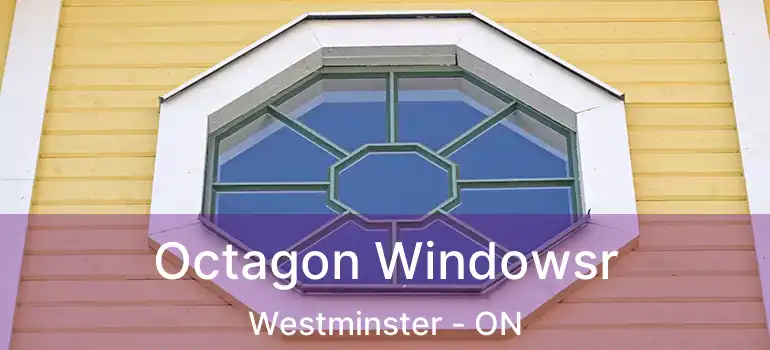  Octagon Windowsr Westminster - ON