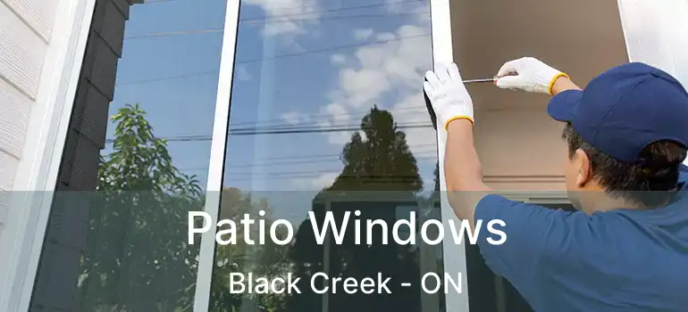  Patio Windows Black Creek - ON