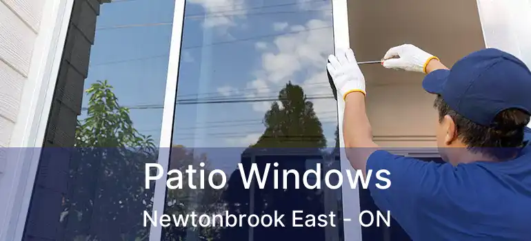  Patio Windows Newtonbrook East - ON