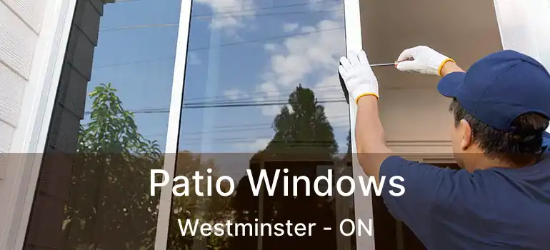  Patio Windows Westminster - ON