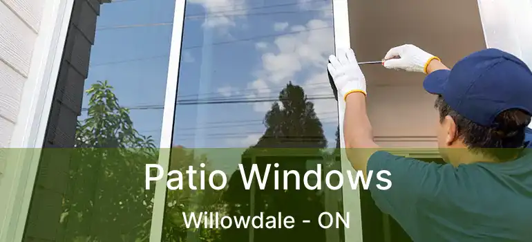  Patio Windows Willowdale - ON
