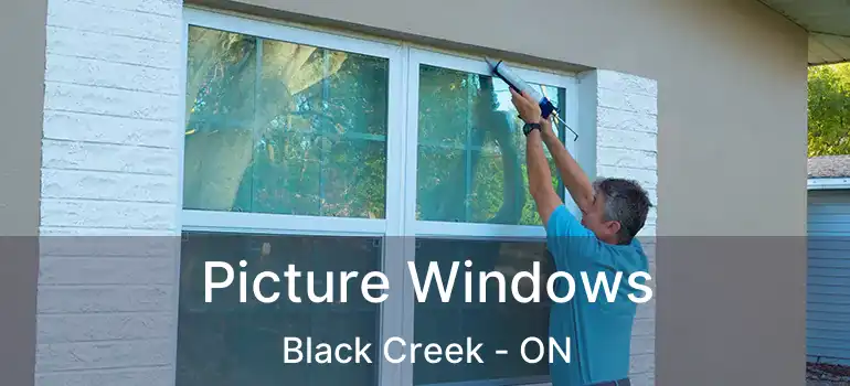  Picture Windows Black Creek - ON