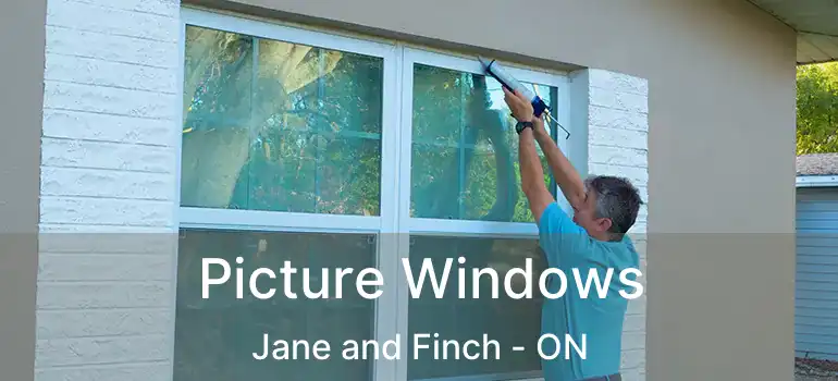  Picture Windows Jane and Finch - ON