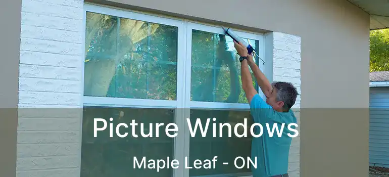  Picture Windows Maple Leaf - ON