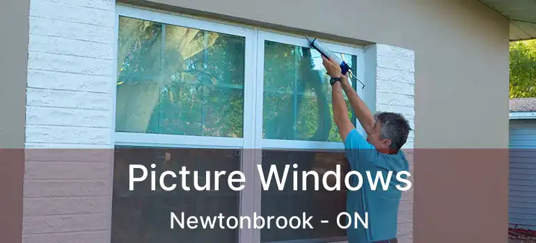  Picture Windows Newtonbrook - ON
