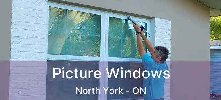  Picture Windows North York - ON