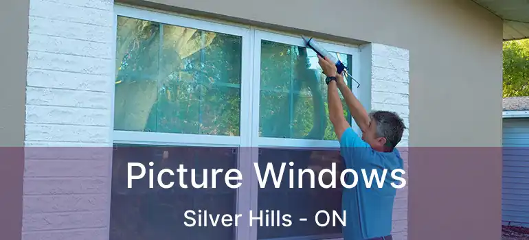  Picture Windows Silver Hills - ON
