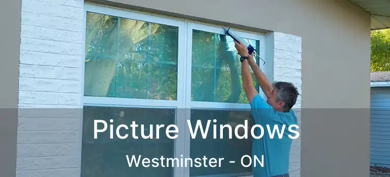  Picture Windows Westminster - ON