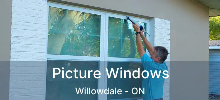  Picture Windows Willowdale - ON
