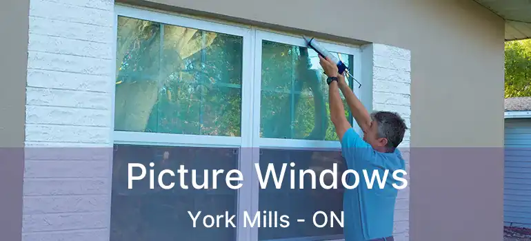  Picture Windows York Mills - ON