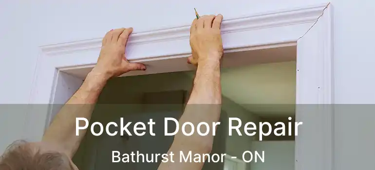  Pocket Door Repair Bathurst Manor - ON