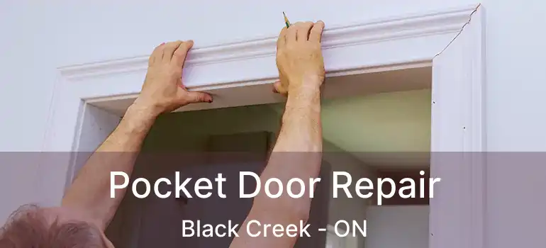  Pocket Door Repair Black Creek - ON