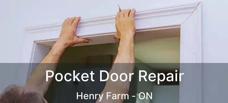 Pocket Door Repair Henry Farm - ON