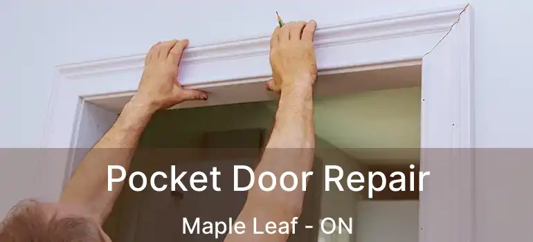  Pocket Door Repair Maple Leaf - ON
