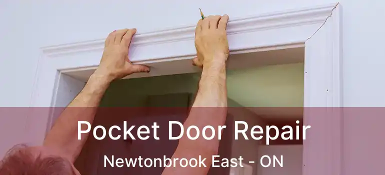  Pocket Door Repair Newtonbrook East - ON