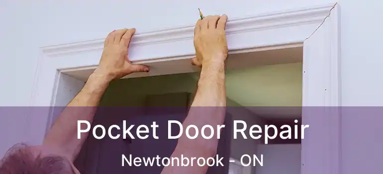  Pocket Door Repair Newtonbrook - ON