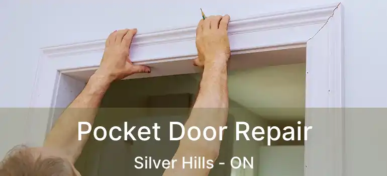  Pocket Door Repair Silver Hills - ON