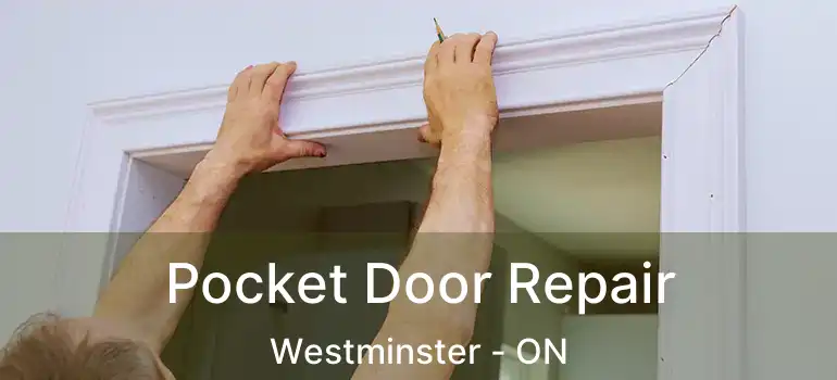  Pocket Door Repair Westminster - ON
