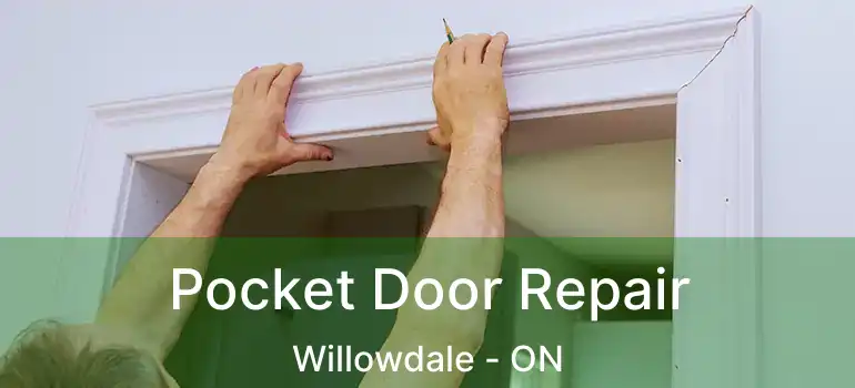  Pocket Door Repair Willowdale - ON