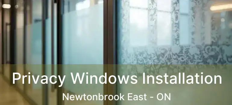  Privacy Windows Installation Newtonbrook East - ON