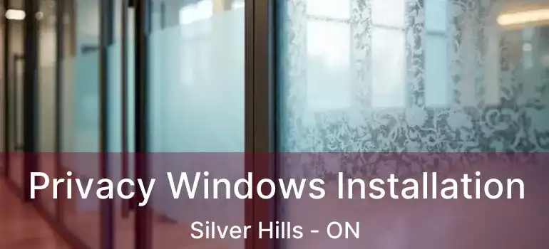  Privacy Windows Installation Silver Hills - ON