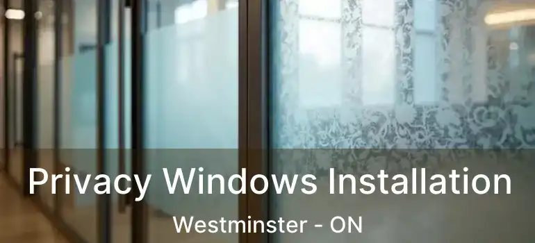  Privacy Windows Installation Westminster - ON