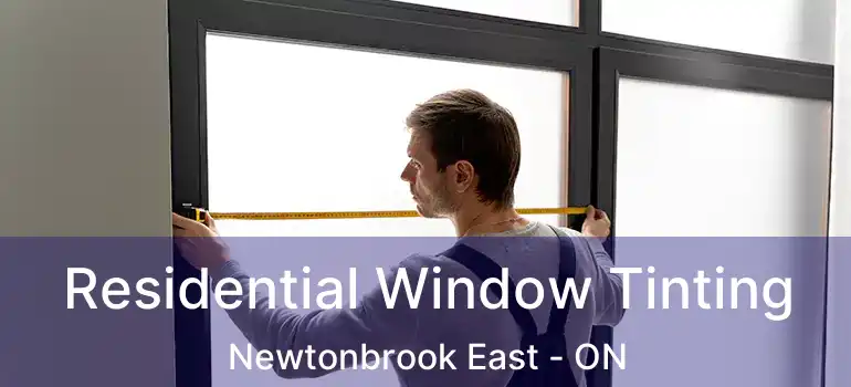  Residential Window Tinting Newtonbrook East - ON