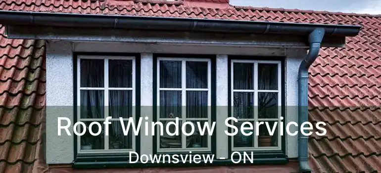  Roof Window Services Downsview - ON