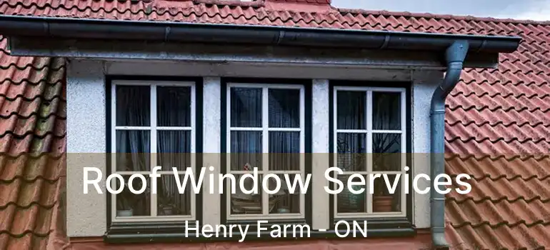  Roof Window Services Henry Farm - ON