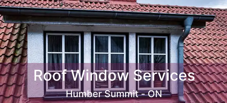  Roof Window Services Humber Summit - ON