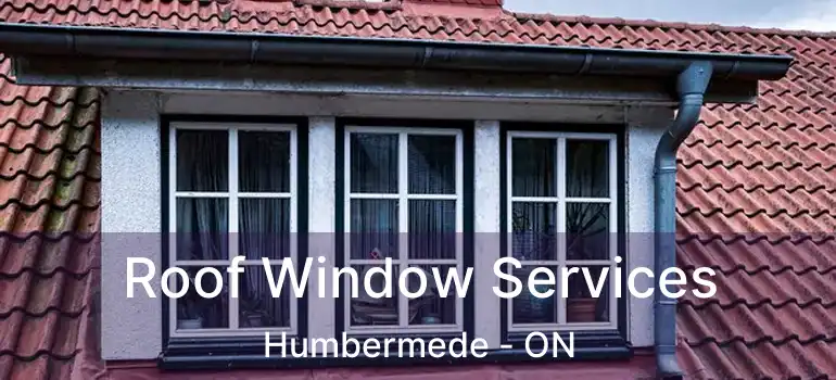  Roof Window Services Humbermede - ON