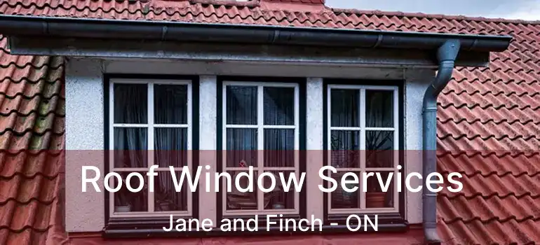  Roof Window Services Jane and Finch - ON