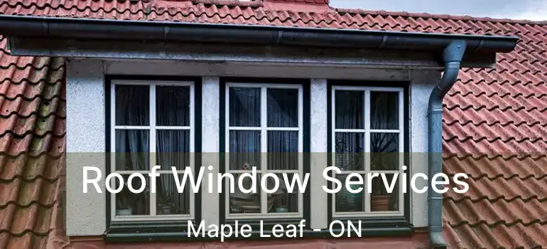  Roof Window Services Maple Leaf - ON