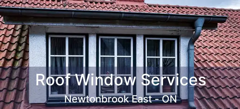  Roof Window Services Newtonbrook East - ON