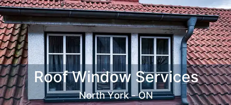  Roof Window Services North York - ON