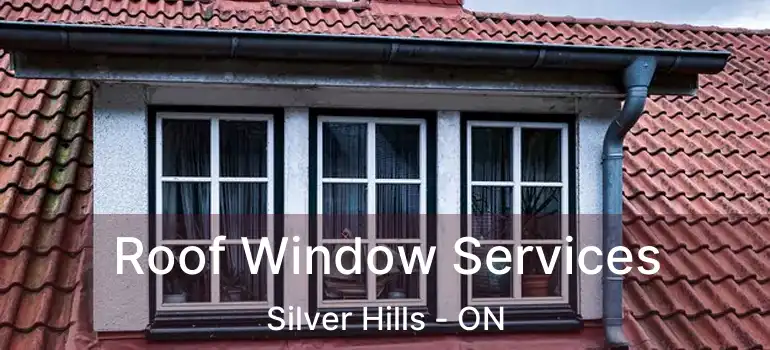  Roof Window Services Silver Hills - ON