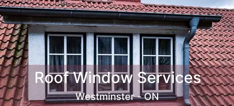  Roof Window Services Westminster - ON