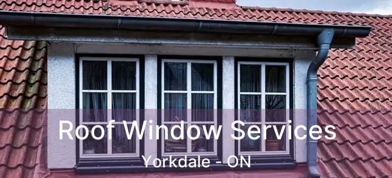  Roof Window Services Yorkdale - ON